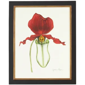 35-0049a Majestic Orchid I