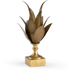 Yucca Plant
