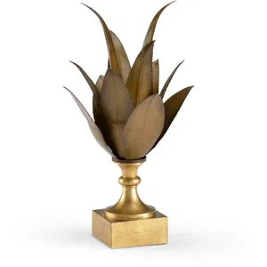 Yucca Plant