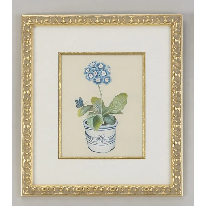 31-0013a Blue Auricula