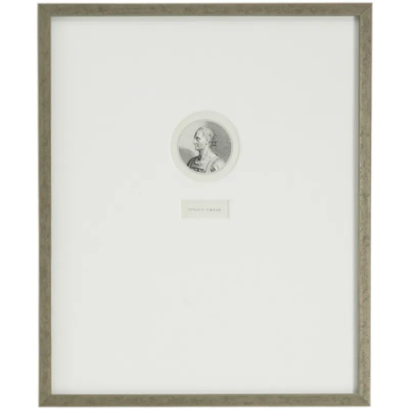 35-0083b Julius Caesar