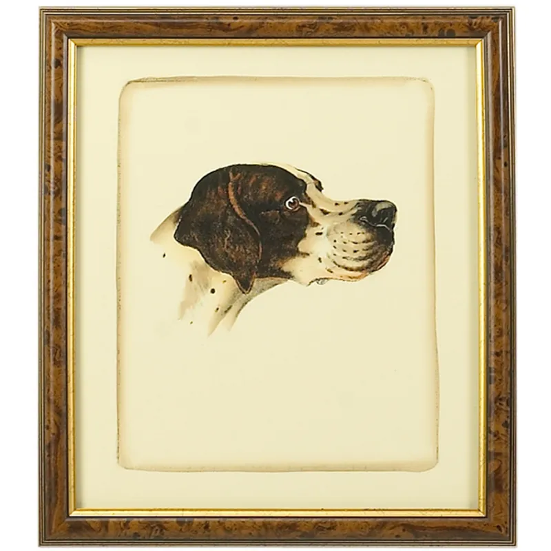 35-0020c Danchin Pointer