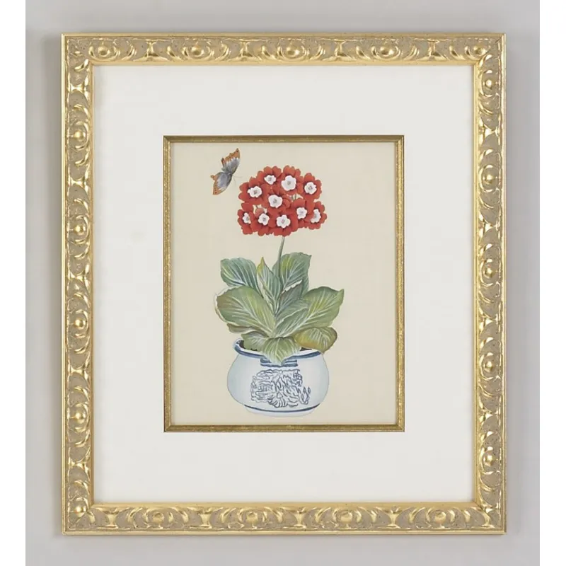 31-0013d Red Auricula