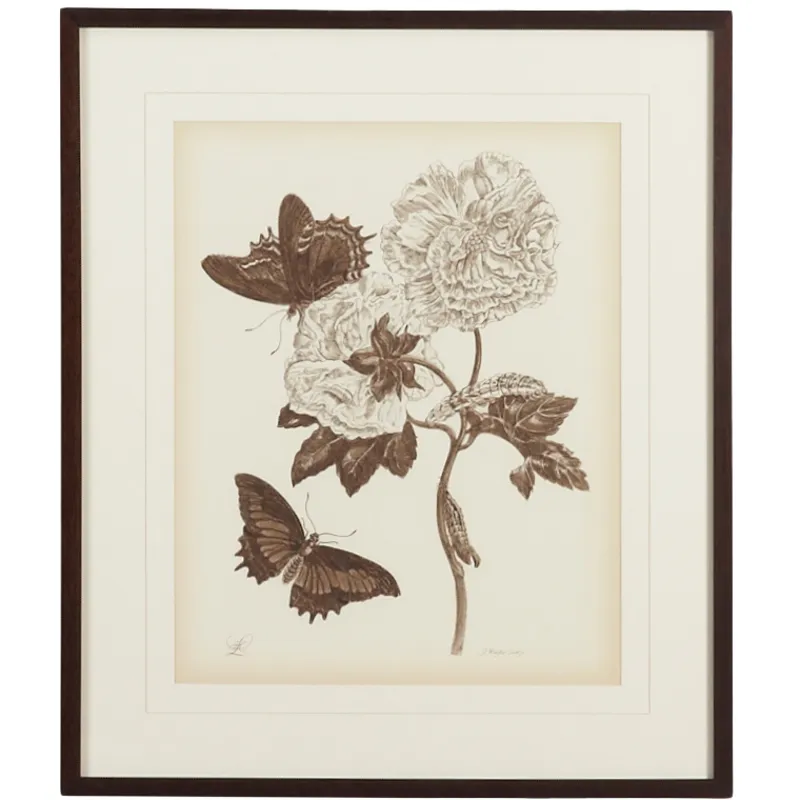 35-0074d Nature Study/sepiaiv