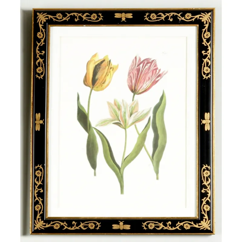 35-0008b Tulip/dec.frame991
