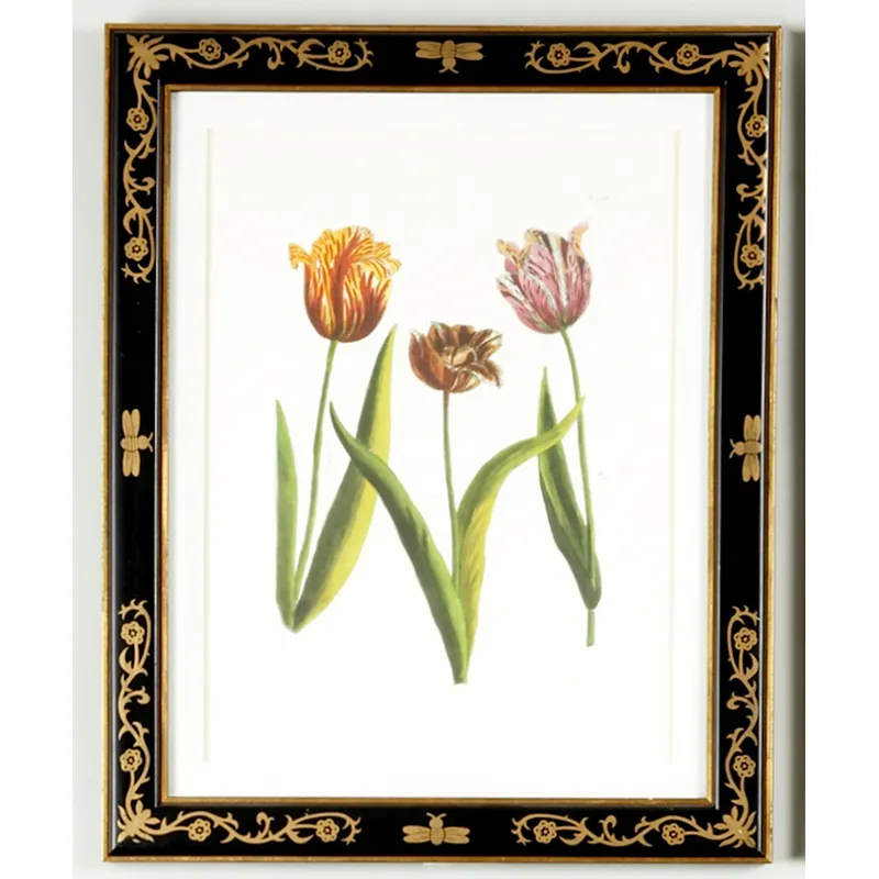 35-0008a Tulip/dec.frame988