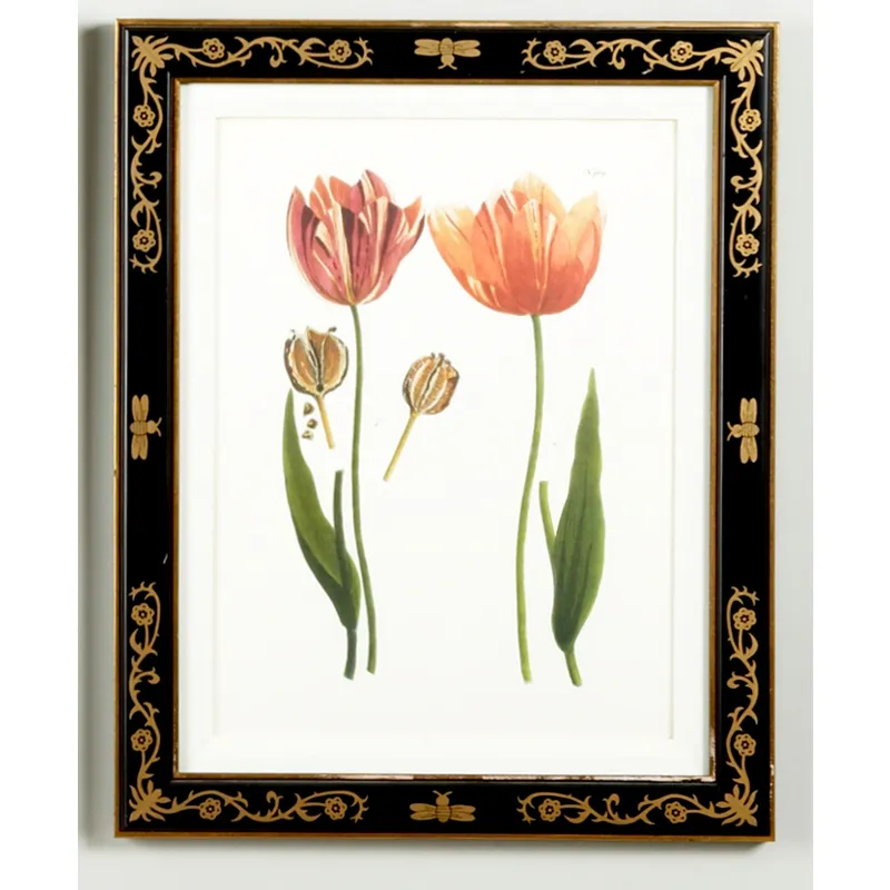 35-0008d Tulip/dec.frame989