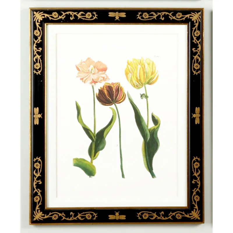 35-0008c Tulip/dec.frame985