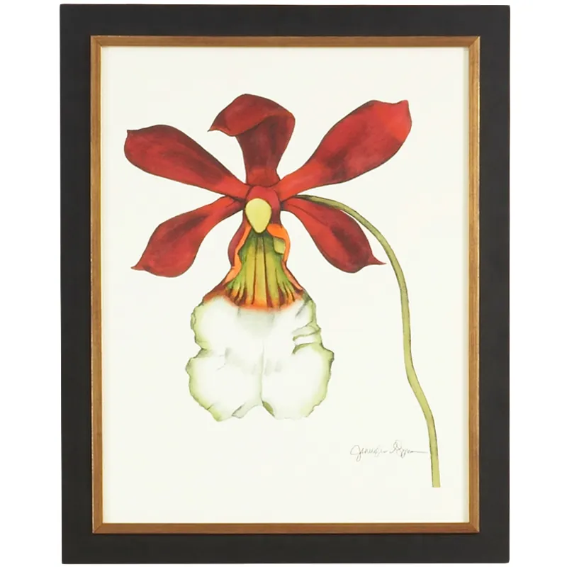 35-0049b Majestic Orchid Ii