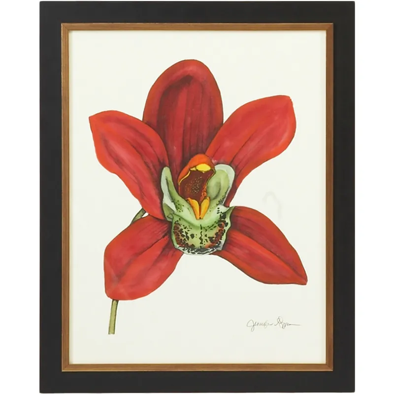 35-0049c Majestic Orchid Iii