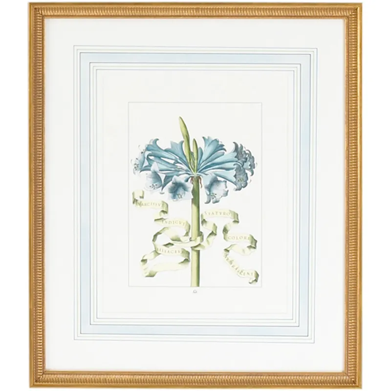 30-0043d Bl Floral W/ribbon-d