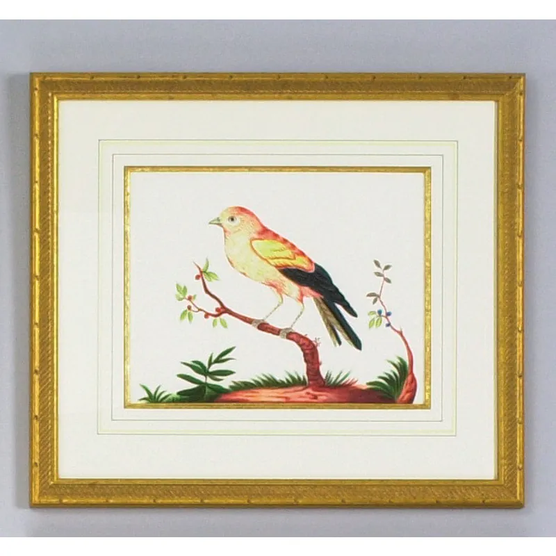32-0008f Yellow Wing/rd Berry