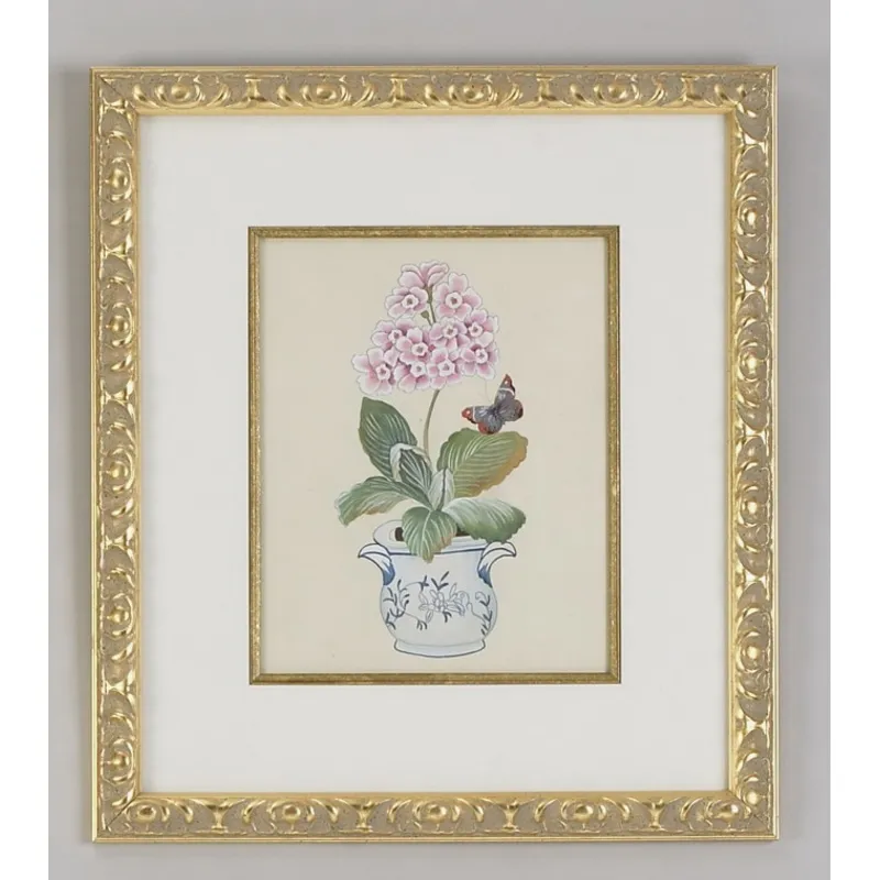 31-0013b Pink Auricula
