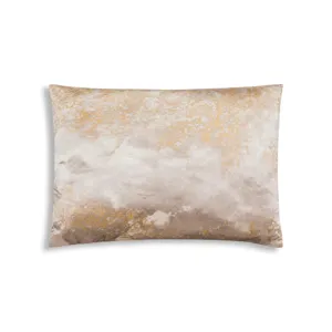 14X20 GOLD/SILVER VELVET PILLW