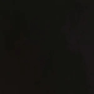 Mapleton Tufted Back Upholstered Arm Chair Beige