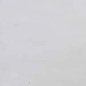 Hillcrest Panel Bed White - California King