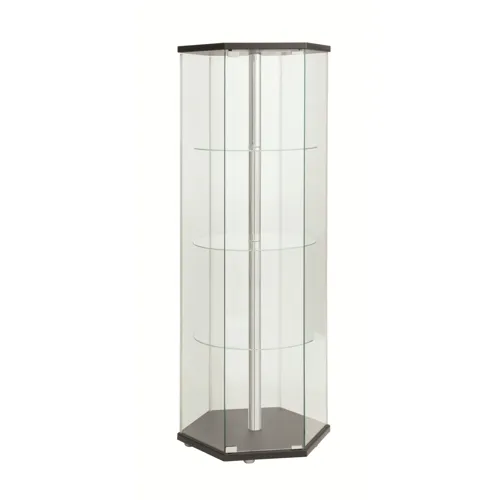Zahavah 4 Shelf Hexagon Shaped Curio Cabinet Black Clear