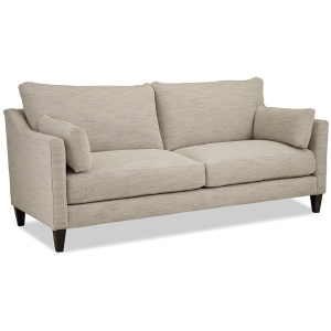 CM Modern Two Cushion Sofa
