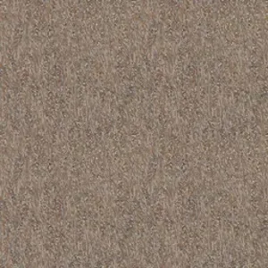 PHAEDRE-07.2e16d0ba.fill-256x256.format-webp.webp