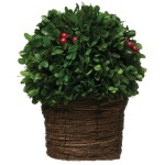 Preserved Boxwood Topiary w/ Red Berries, Single Ball in Woven Pot