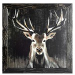 Framed Art