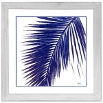 Indigo Palm 1