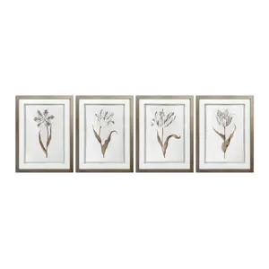Gilded Botanicals 4-piece Framed Wall Art Set
