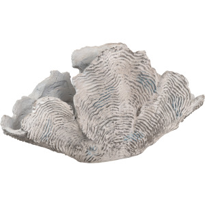 Deacon Coral Sculpture