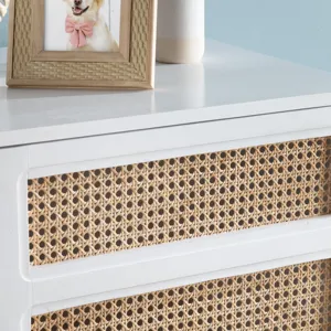 Two-door Cabinet