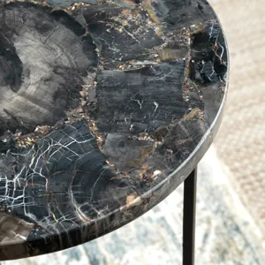 Black Petrified Wood And Metal Round Accent/end Table