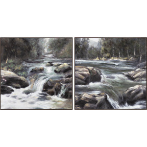 Rapids