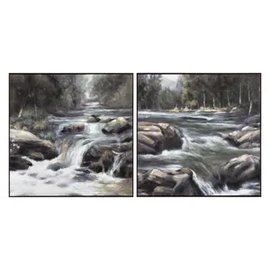 Rapids