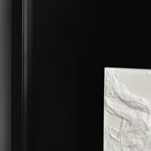 Study In Black And White