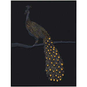 Tail Feathers