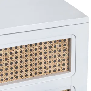 Two-door Cabinet