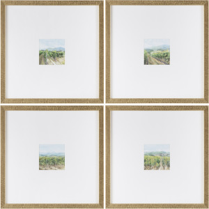Vineyards