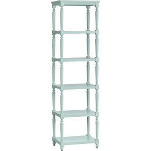 Evermore 5 Shelf Turquoise Etagere