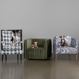Upholstered Accent Chair