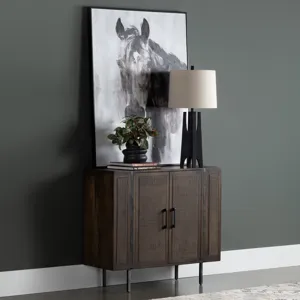 Rich Brown 2-door Media Accent Cabinet