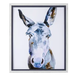 Sweet Donkey 2