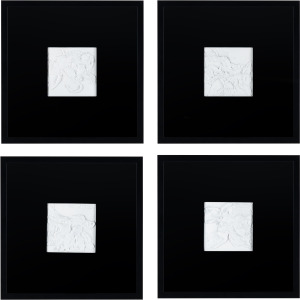Study In Black And White