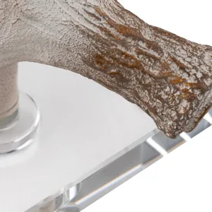 Hart Stag Horn Table Lamp