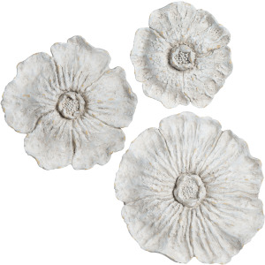 White Wash Flowers