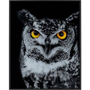 Hoot