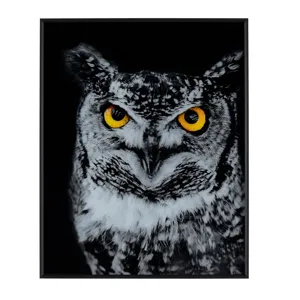 Hoot