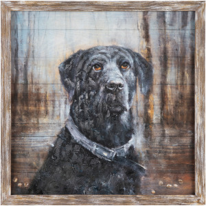 Man's Best Friend