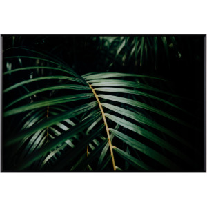 Safari Leaves 2