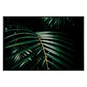 Safari Leaves 2
