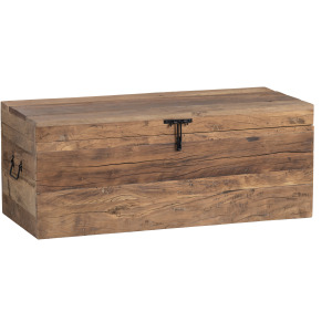 Storage Trunk