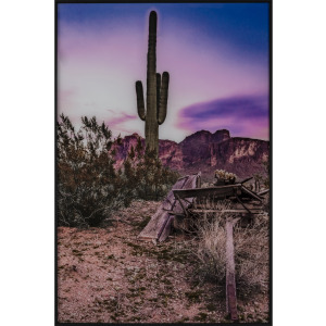 Mesa